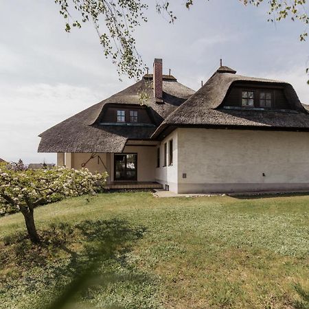 Ferienhaus Schilfvilla 莫比斯希安西 外观 照片